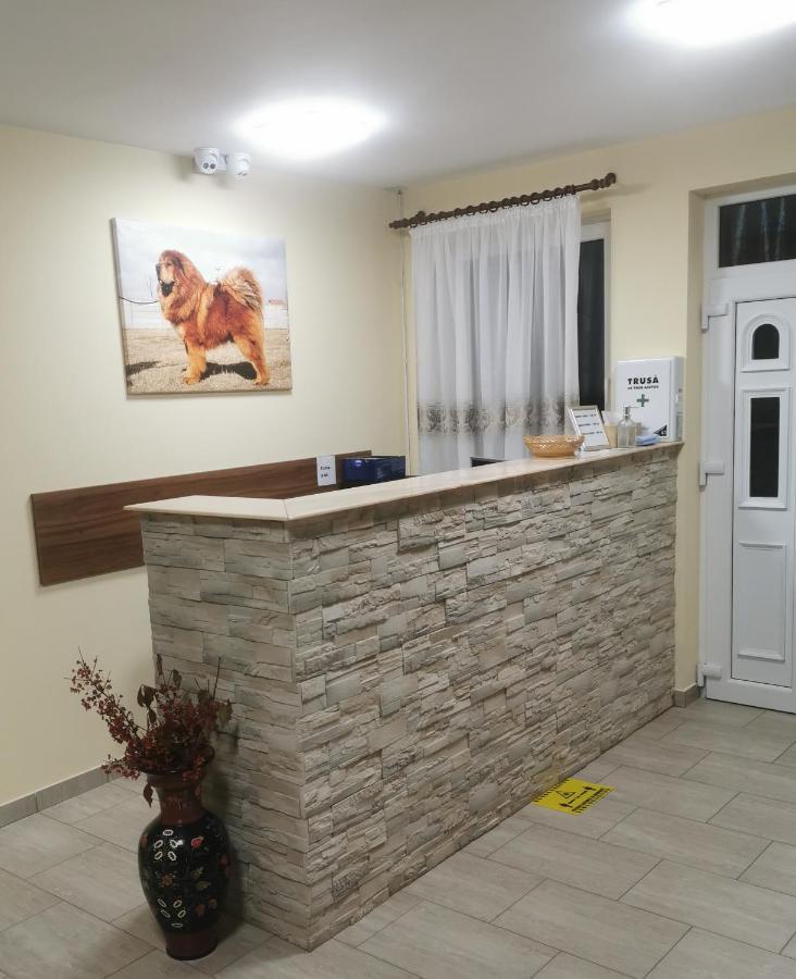 Thor Si Cora Hotel Sovata Ngoại thất bức ảnh