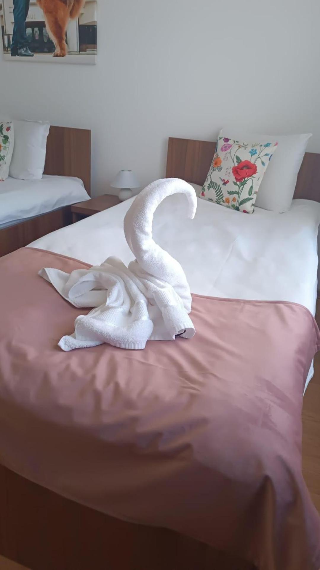 Thor Si Cora Hotel Sovata Ngoại thất bức ảnh