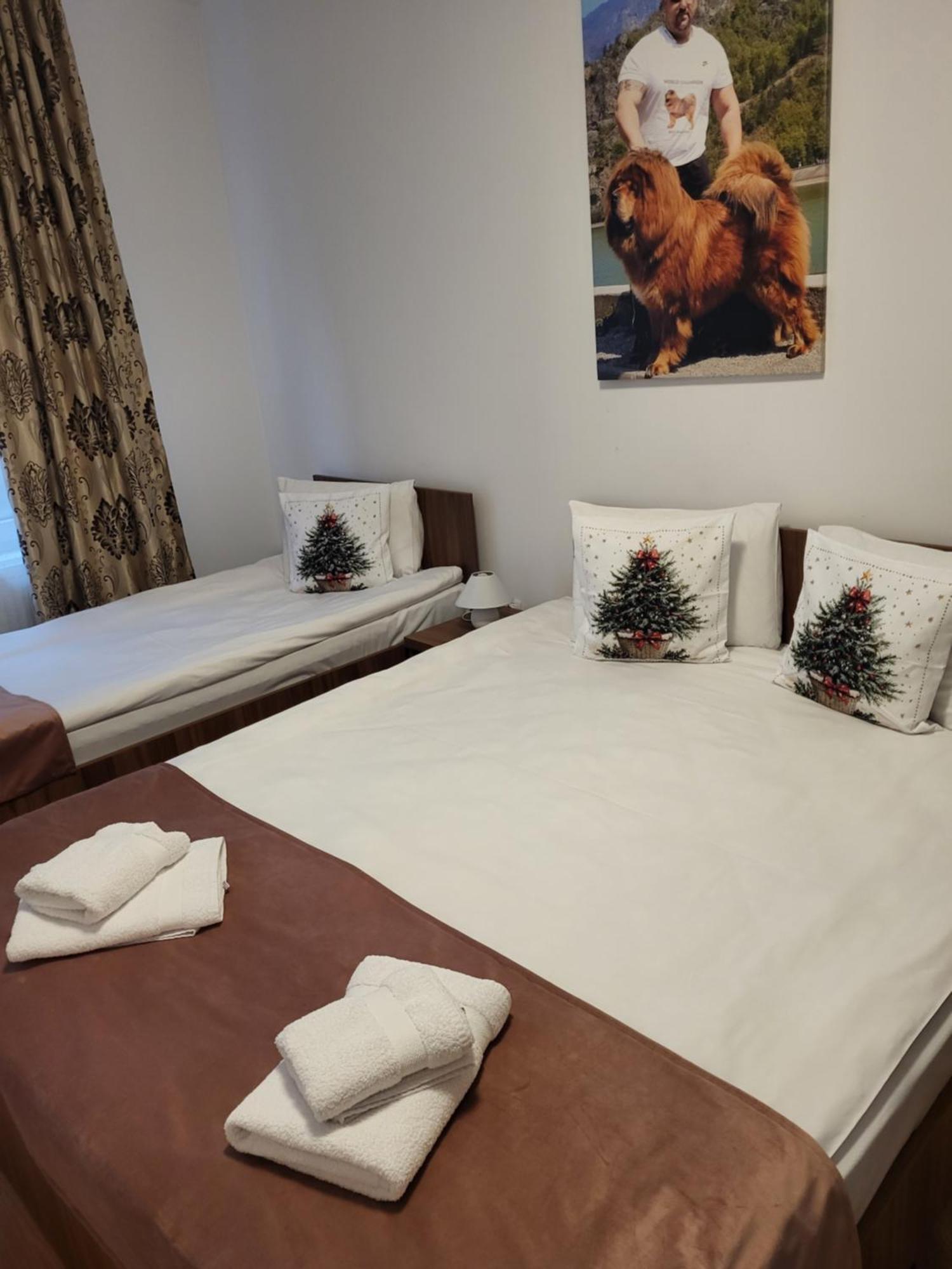 Thor Si Cora Hotel Sovata Ngoại thất bức ảnh